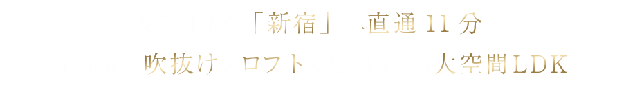 東京副都心「新宿」へ直通11分！約4mの吹抜け×ロフト×約23.5畳の大空間LDK