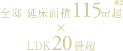 全邸 延床面積115㎡超※2×LDK20畳超