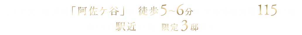 JR中央・総武線「阿佐ケ谷」駅 徒歩5～6分※1×全邸建物面積115㎡超ゆとりの駅近戸建  限定3邸誕生