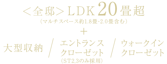 <全邸>LDK20畳超(マルチスペース約1.8畳・2.0畳含む)+大型収納/エントランスクローゼット(ST2,3のみ採用)/ウォークインクローゼット