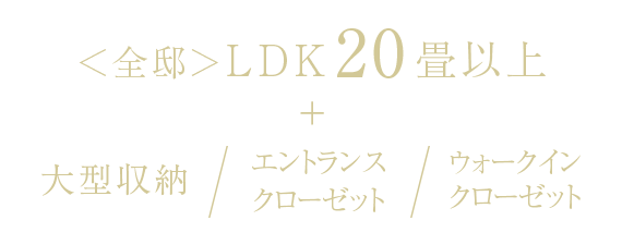 全邸LDK20畳以上＋大型収納・エントランスクローゼット・ウォークインクローゼット