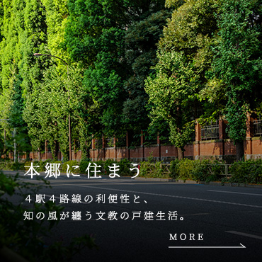 image photo