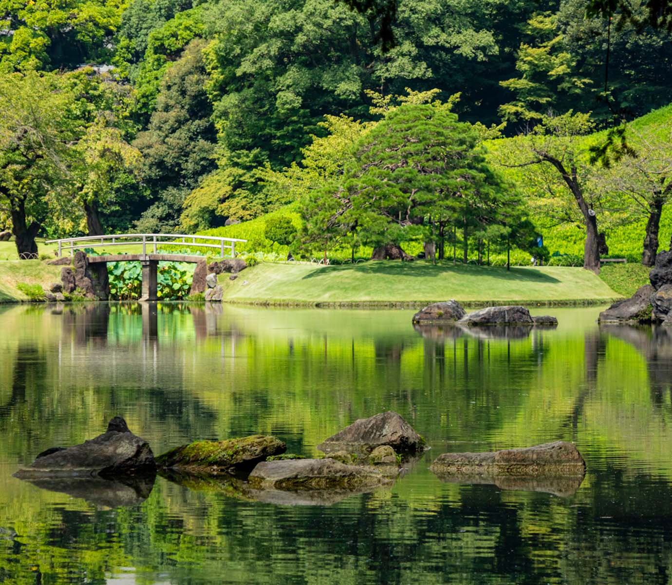 小石川後楽園（約1,670m／徒歩21分）