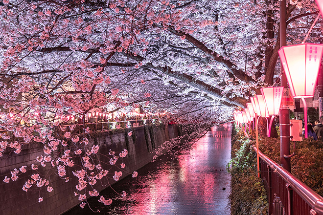 物件サムネイル