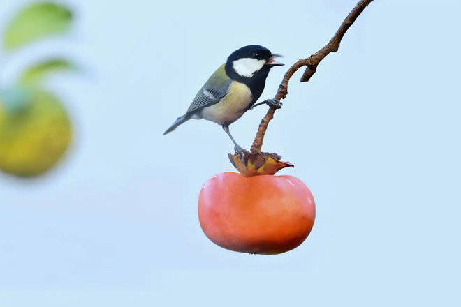 物件サムネイル