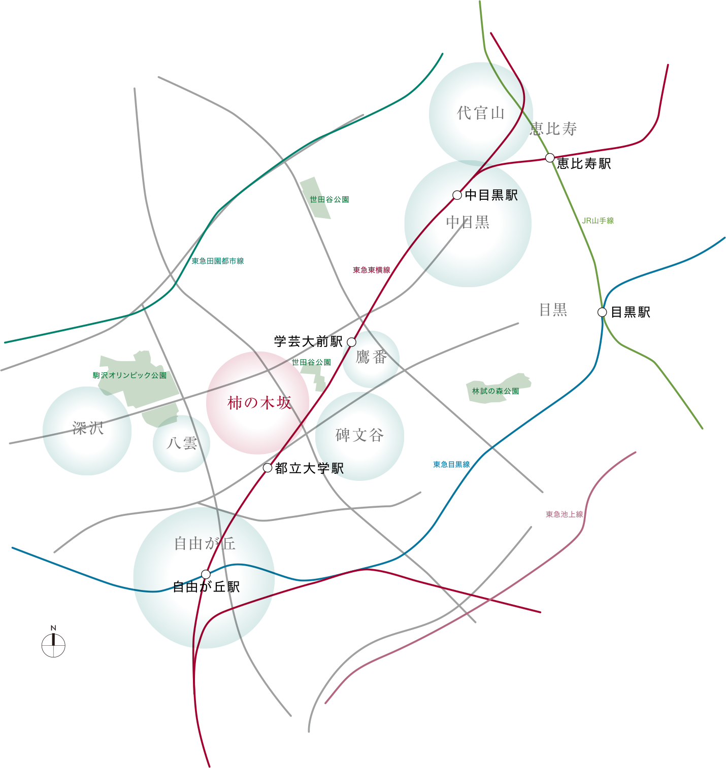 柿の木坂エリアを中心に、碑文谷や鷹番、自由が丘などの邸宅街エリアや各鉄道路線の位置を示した概念図。柿の木坂エリアは駒沢オリンピック公園や世田谷公園、東急田園都市線と東急東横線に囲まれた立地です。