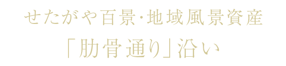 せたがや百景・地域風景資産「肋骨通り」沿い