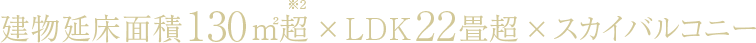 建物延床面積130平米超×LDK22畳超×スカイバルコニー
