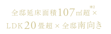 全邸延床面積107㎡超×LDK20畳超×全邸南向き