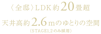 〈全邸〉LDK約20畳超 天井高約2.6mのゆとりの空間(STAGE1,2のみ採用)
