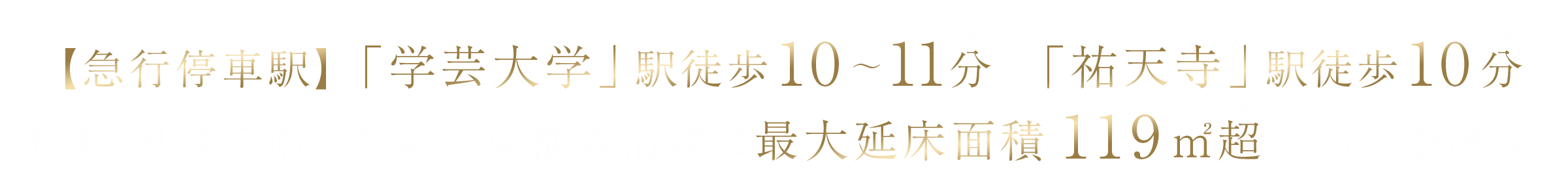 【急行停車駅】「学芸大学」駅徒歩10～11分・「祐天寺」駅徒歩10分 洗練と利便を備えた東急東横線沿線に最大延床面積119㎡超の邸宅が誕生。