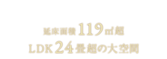 <全邸2階建て>延床面積119㎡超/LDK24畳超の大空間