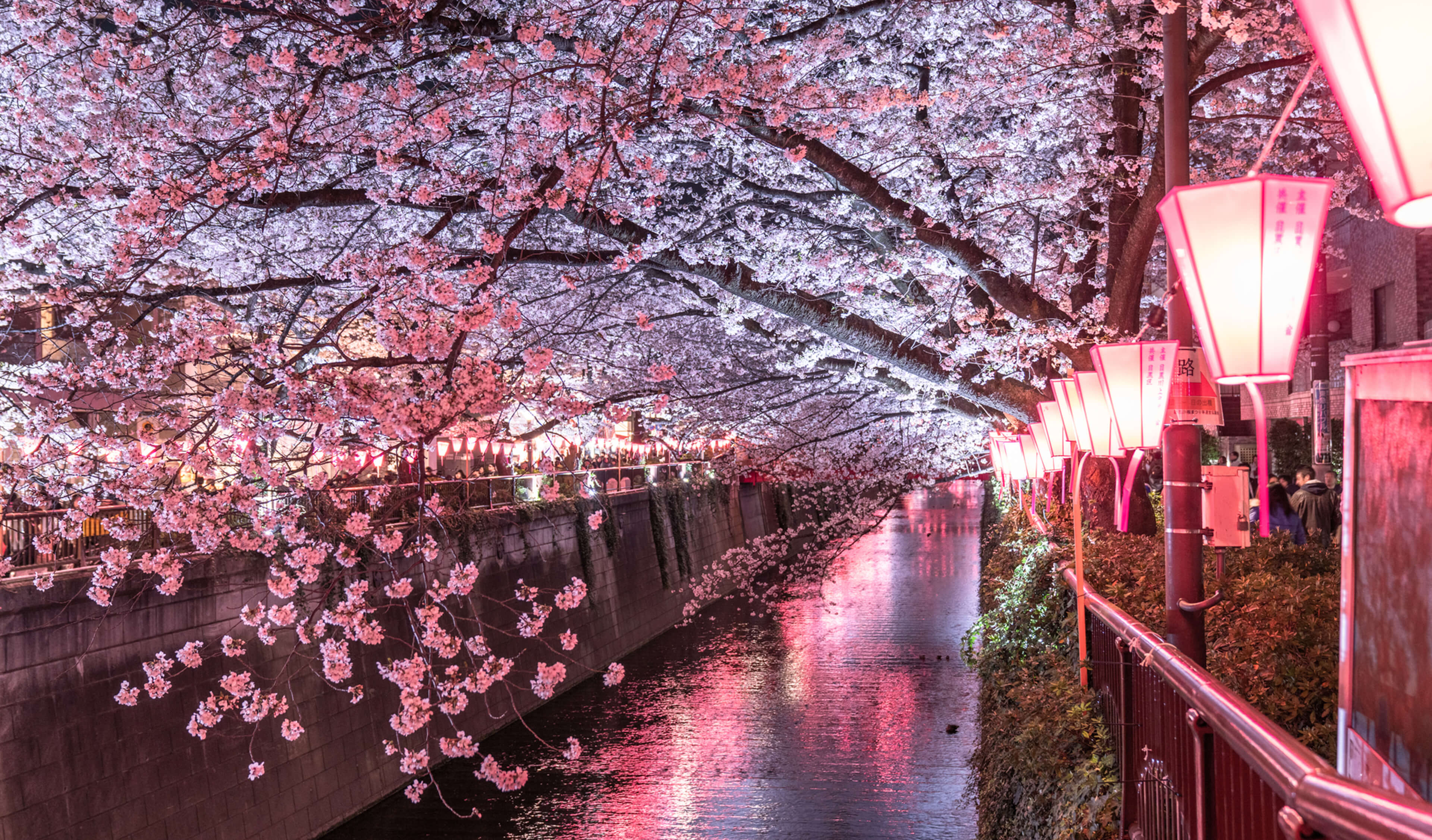 目黒川 image photo
