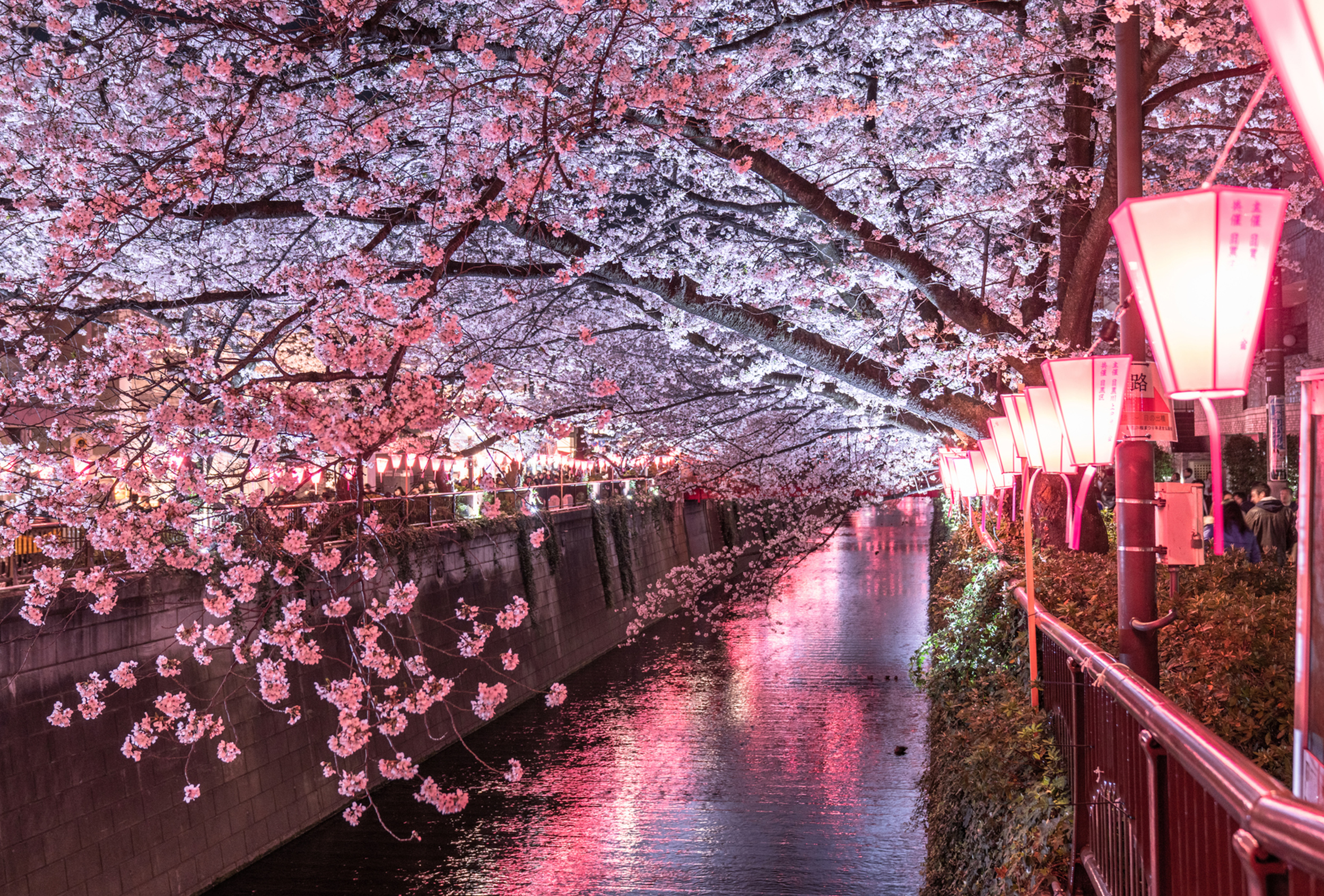 目黒川 image photo