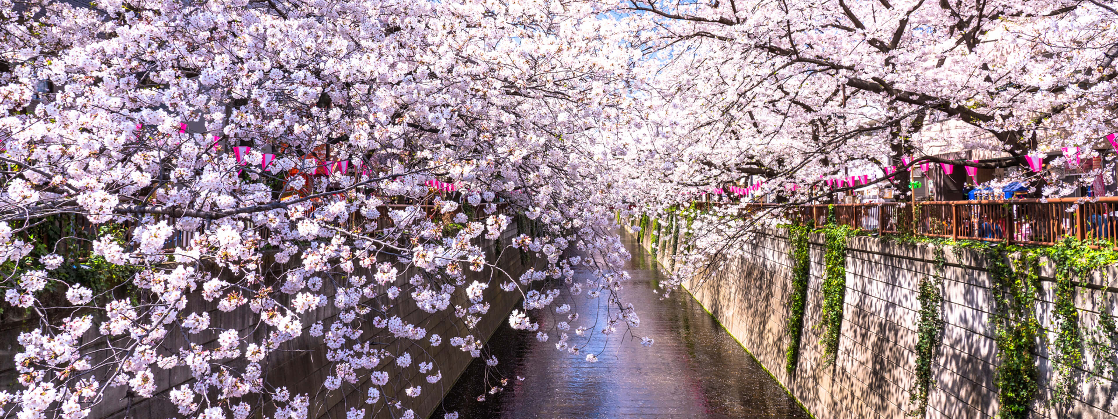 目黒川 image photo