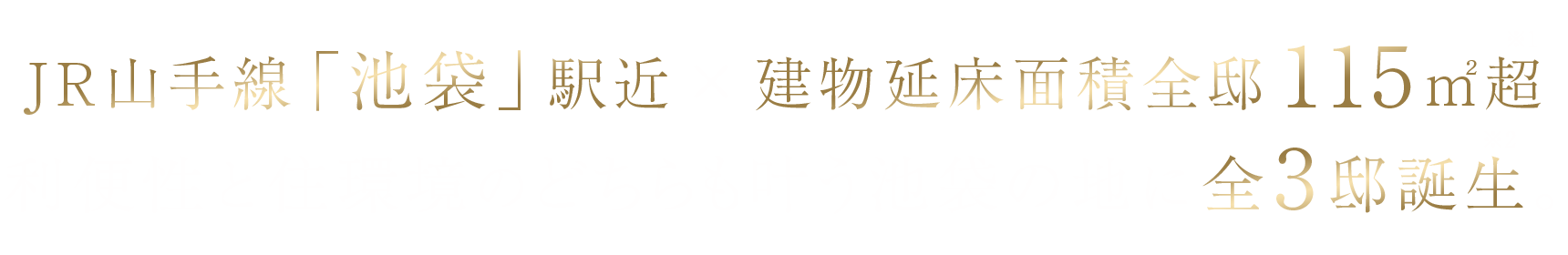 JR山手線「池袋」駅近×建物延床面積全邸115平米超 利便性と住環境のどちらも叶う池袋の地に全3邸誕生。