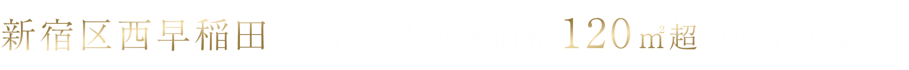 新宿区西早稲田の地に最大延床面積120平米超の邸宅が誕生。