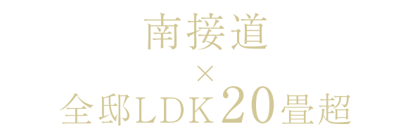 南接道×全邸LDK20畳超