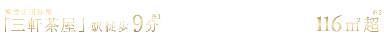 東急世田谷線「三軒茶屋」駅徒歩9分※1×建物延床面積全邸116㎡超※2