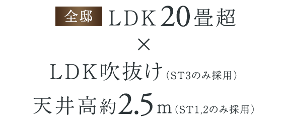 【全邸】LDK20畳超 × LDK吹抜け（ST3のみ採用）・天井高約2.5m（ST1,2のみ採用）