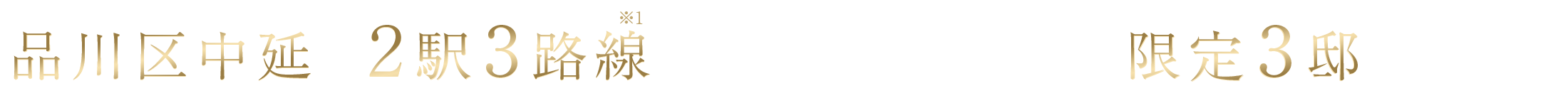 品川区中延・2駅3路線(※1)のマルチアクセス。限定3邸で誕生。