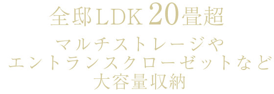 全邸LDK20畳超 マルチストレージやエントランスクローゼットなど大容量収納