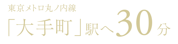 東京メトロ丸ノ内線「大手町」駅へ30分