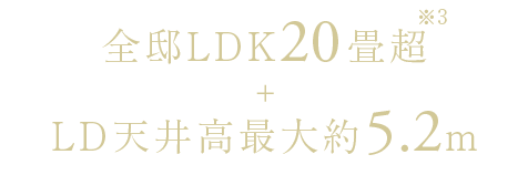 全邸LDK20畳超＋LD天井高最大約5.2m